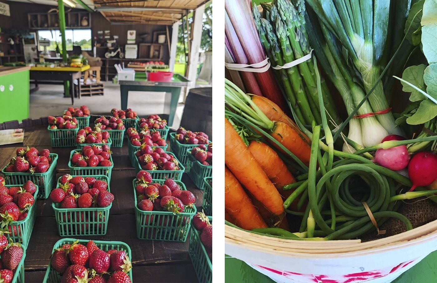 SIDEBAR Matz - Matz Fruit Barn.jpg